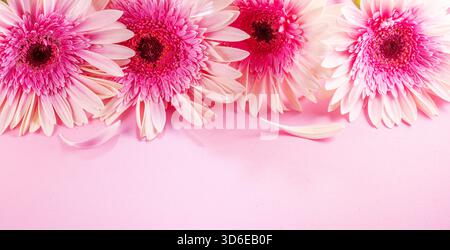 Pink gerbera flowers arranged as a frame on pink background. Top view. Stock Photo