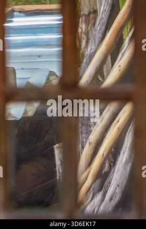 Some objects reflecting on the wooden window of a farmhouse, in the eastern Andean mountains of central Colombia, near the Iguaque natural reserve. Stock Photo