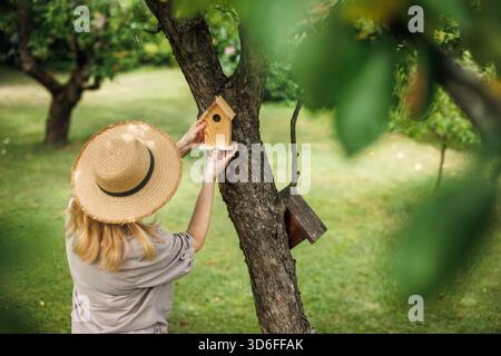 Woman in straw hat placing wooden birdhouse on apple tree in garden Stock Photo
