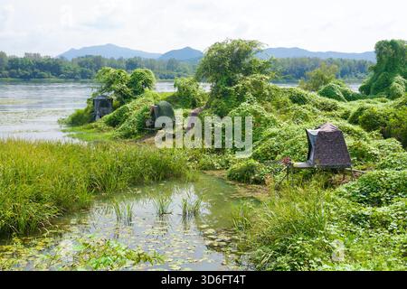 Camouflaged fishing tents and rod stands sit on vine-covered banks of the North Han River near Lake Uiam in Chuncheon, with reeds and lily pads in the Stock Photo