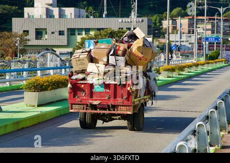A red recycler's cart piled high with cardboard and scrap rolls across Cheongpyeong Bridge beside rows of yellow flowers in concrete planters, with to Stock Photo