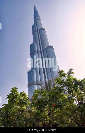 Dubai United Arab Emirates 1 September 2026 Action During The ACC dubai-united-arab-emirates-1-september-2026-action-during-the-acc