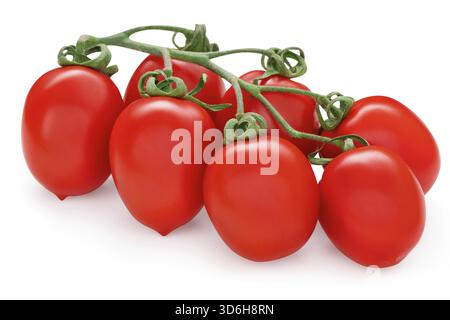 Bunch of red roma vf tomatoes. Solanum lycopersicum. Fresh plum tomato cluster. Vegetable isolated on white background. Clipping path, studio macro sh Stock Photo