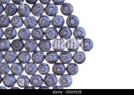 Geometric set of blueberries with water drops isolated on white. Texture of fresh blueberry berries closeup. Juicy forest blueberries, bilberries, ant Stock Photo