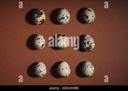 Creative quail egg layout on brown background. Quail eggs pattern. Happy easter concept. Creative food layout. Healthy breakfast, diet food concept. C Stock Photo