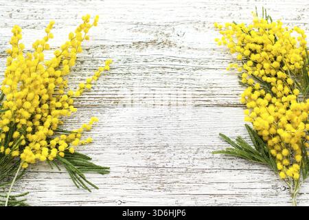 Food, Branch of yellow spring flowers mimosa on white wooden background with copyspace. Top view Stock Photo