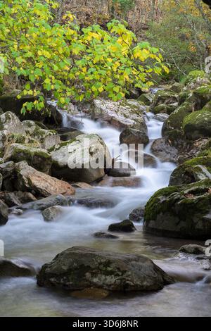 A vertical shot of a river with mossy rocks in the forest Stock Photo ...