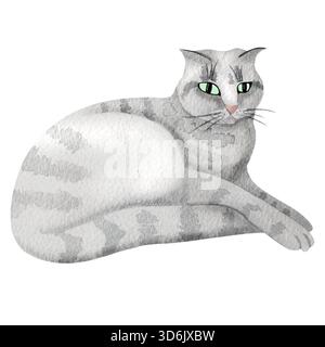 A cozy gray tabby cat, hand-drawn watercolor illustration. British or Scottish Fold cat. Simple animal illustration. Stock Photo