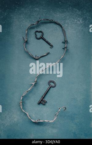 Old keys in barbwire Stock Photo