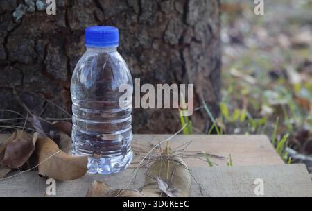 A plastic water bottle sits on rough wooden boards under a tree, highlighting the essential need for clean drinking water and portable hydration Stock Photo