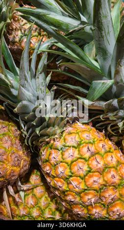 Editorial close-up of ripe pineapples arranged in a grocery display. The image highlights textured skin, natural patterns and vibrant leaves. Stock Photo