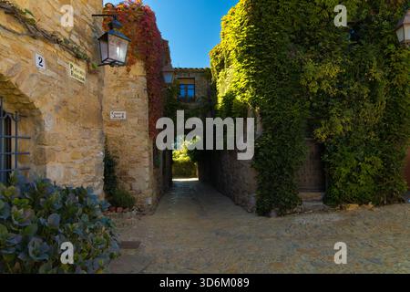 Stone alleyway in Peratallada’s historic center, covered in vibrant green and red ivy, with archway, plants, and warm natural light. Stock Photo
