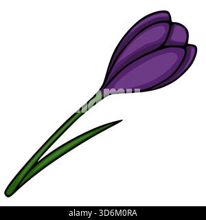 Elegant vector illustration of a single purple crocus flower with green stems and leaves, isolated on a white background, suggesting spring and botani Stock Vector