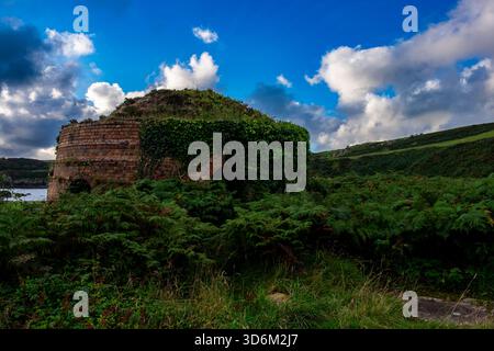 Beehive kiln at Porth Wen Brickworks overgrown with plants Stock Photo