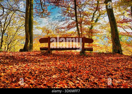 Lonely bench in autumn scenery Stock Photo