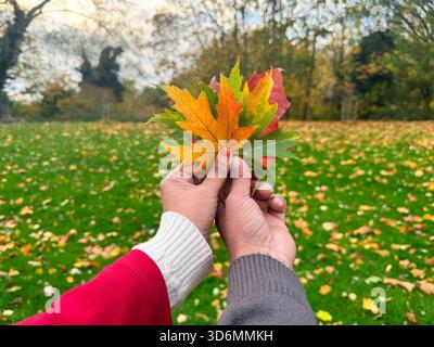 Holding Autumn Together – Romantic Maple Leaf Portraits in Birmingham, UK Stock Photo