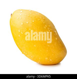 One ripe yellow mango fruit with water droplets is isolated on white background with clipping path. Stock Photo