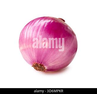 Single fresh unpeeled red or purple onion bulb is isolated on white background with clipping path. Stock Photo