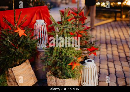 Small Christmas trees with red star decorations at Christmas Market Stock Photo