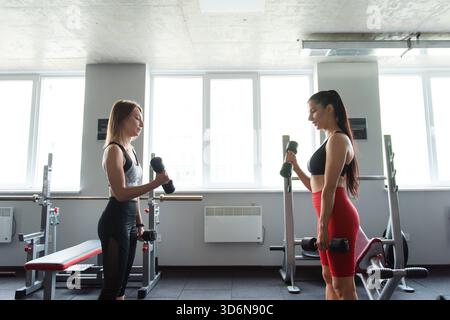 Two female friends using dumbbells for training arms at gym Stock Photo