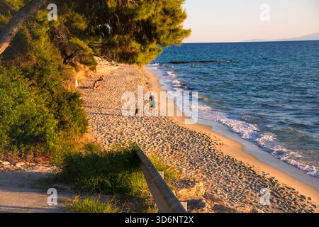 woman walking a dog on the beach Stock Photo
