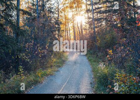 Scenic view of the Trans Canada Trail near Lacombe Lake Alberta in autumn, with the setting sun shining through the forest. Stock Photo