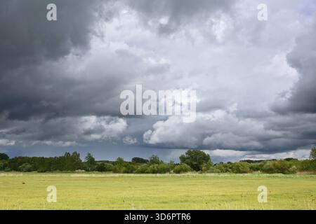 Dramatic cloud formations over a vast green meadow, Peenetal nature park Park, Mecklenburg-Western Pomerania, Germany Stock Photo