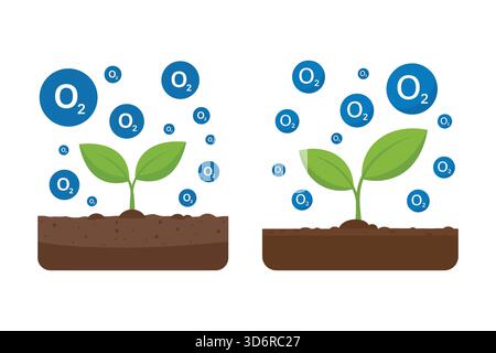 Plant growing releasing oxygen into the atmosphere in nature concept Stock Vector
