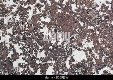 Abstract brown and white terrazzo texture background with rustic feel. This natural stone surface shows detailed pattern of aged material, perfect for Stock Photo