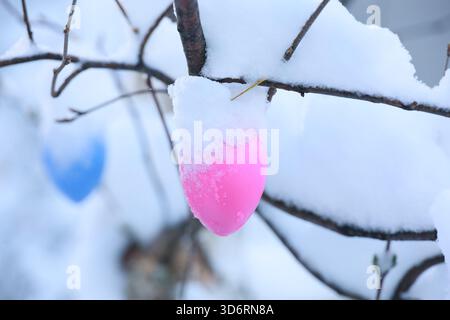 A pink and blue egg is hanging from a tree branch covered in snow Stock Photo