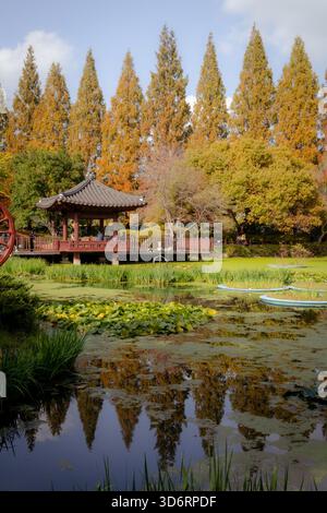Autumn foliage in S. Korea This photo, taken Oct. 27, 2026, shows ...