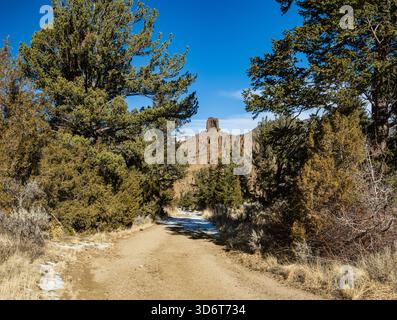 Dirt road cuts through a pine forest in Wyoming's Rockies. Stock Photo