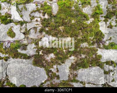 Old stone wall with green moss. Background for design. Full frame. Copy space. Stock Photo