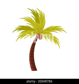 Tropical Brazil palm tree with coconuts on white background, perfect for summer themes, isolated vector illustration Stock Vector