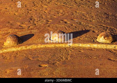 Rusty metal bolts on corroded surface in warm light, industrial macro detail showing texture, patina, and weathering. Stock Photo