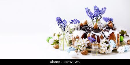 Homemade traditionla Easter kulich cake with chocolate nests and eggs, blossoming cherry branches and muscari flowers. White background. Traditional ortodox Easter Russian Ukrainian bake. Banner size Stock Photo