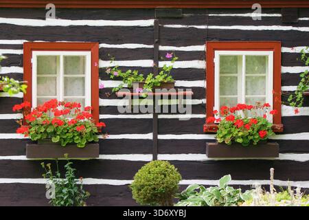 Traditional european rural wooden house , windows with geranium flowers Stock Photo