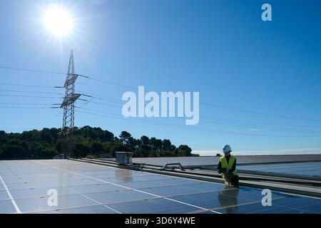 Technician working on solar panels generating renewable energy Stock Photo