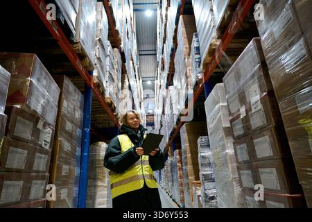 Woman worker checking inventory in cold storage warehouse Stock Photo