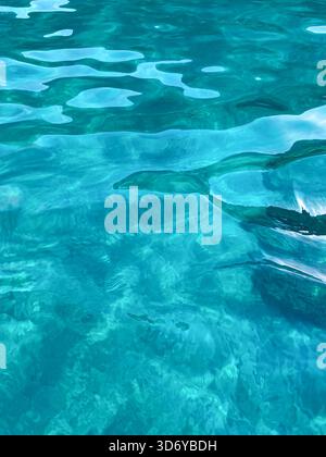 The water surface is so clear that you can see through and see the ...