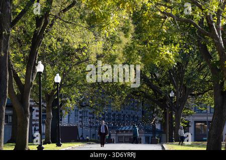 People Walking Under Tree Canopy in Boston Common Near Downtown Stock Photo
