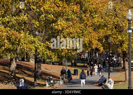 People Walking Through Tree-Lined Path in Boston Common in Autumn Stock Photo
