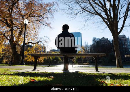 Man Sitting on Bench Overlooking Pond in Boston Public Garden Stock Photo
