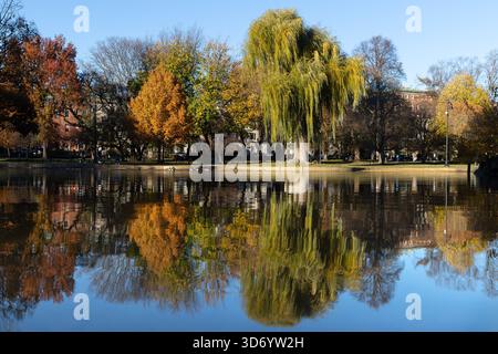 Willow Tree Reflected in Pond at Boston Public Garden in Autumn Stock Photo