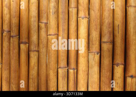 Bamboo poles wall close-up abstract textured background Stock Photo