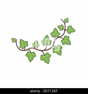 Green eucalyptus branch leaves botanical icon vector illustration for natural foliage organic herb decoration minimal and simple design Stock Vector
