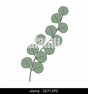 Green eucalyptus branch leaves botanical icon vector illustration for natural foliage organic decoration wedding and floral design Stock Vector