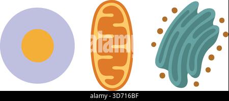 A trio of round science icons showing a cell cross section a mitochondrion and a bacterium on a light background Stock Vector