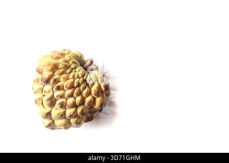 Custard apple isolated on white. Sweet-apple, fresh exotic fruit. Stock Photo