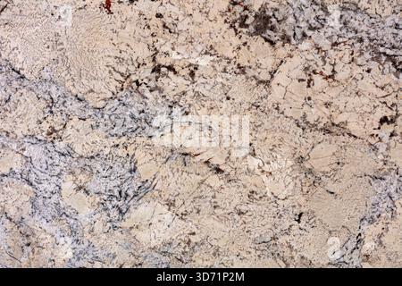 Natural White Persa - granite background, texture in beautiful color for your unique design. Stock Photo